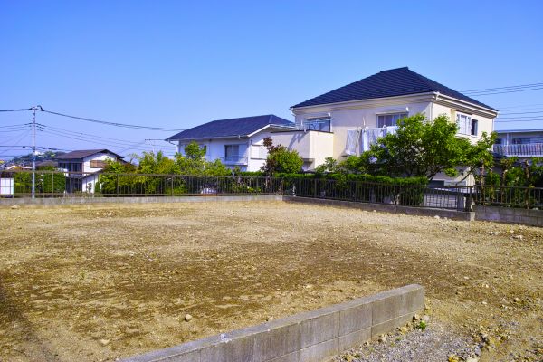 Cost of Lot Clearing Service in Stamford