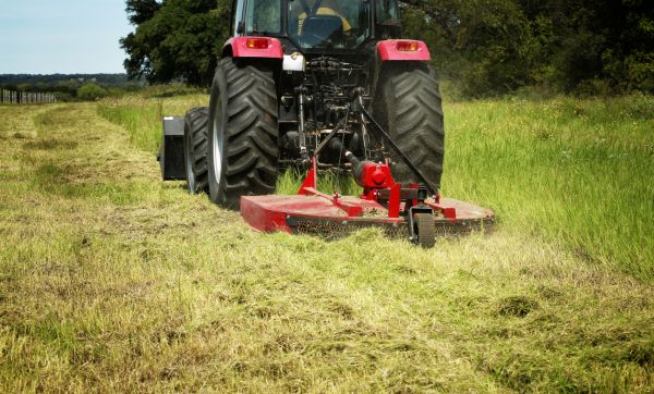 Brush Clearing Service in Stamford