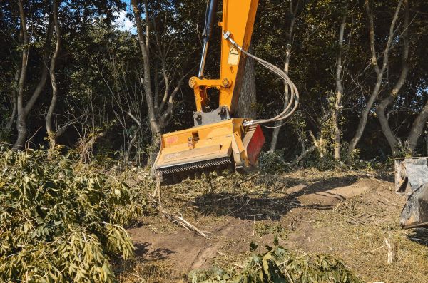 Brush Removal Service in Stamford
