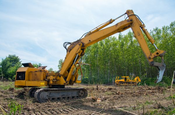 Cost of Farm Clearing in Stamford