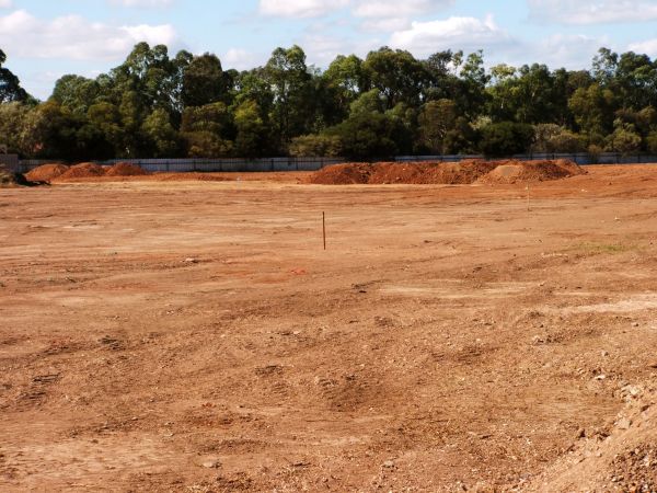 Cost of Field Clearing in Stamford