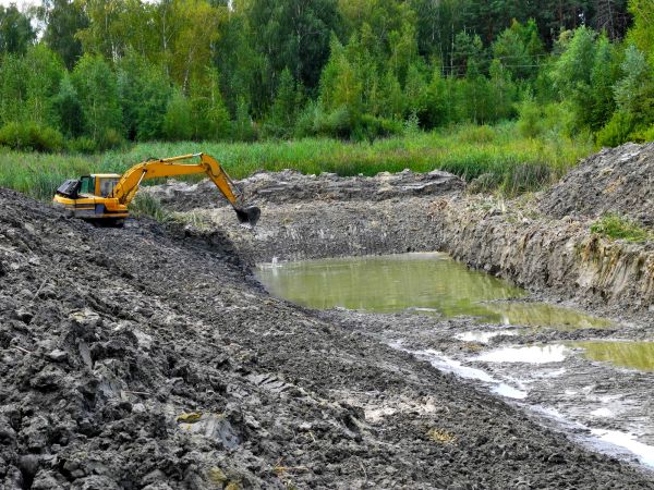 Cost of Lake Lot Clearing in Stamford