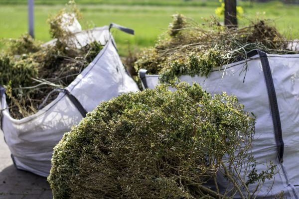 Cost of Bushes Clearing in Stamford