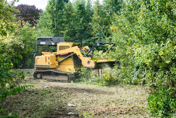 Cost of Pathway Clearing in Stamford