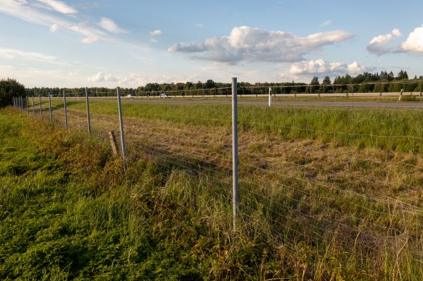 Cost of Property Line Clearing in Stamford