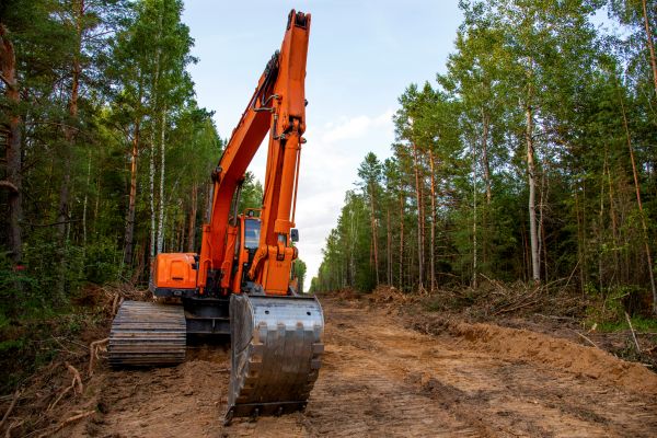 Cost of Backhoe Land Clearing in Stamford