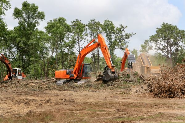 Cost of Commercial Lot Clearing in Stamford