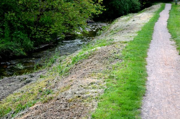 Cost of Trail Cutting in Stamford